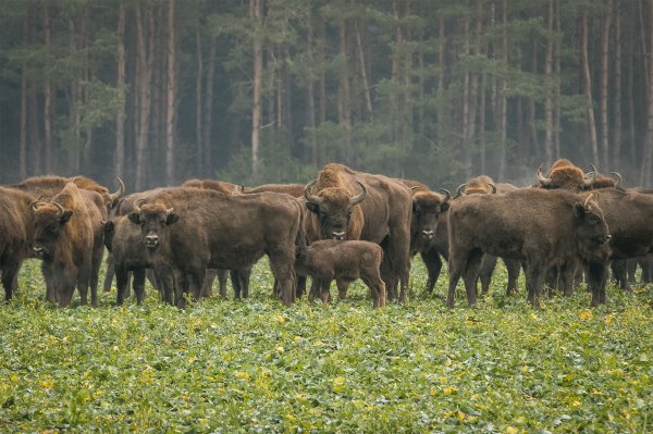 Raport Profitroom: wakacje 2025 udane, Podlasie największym wygranym sezonu
