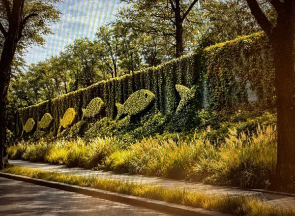 Giżycko będzie mieć park linearny. Osłodzi brak widoku na jezioro który zasłoniły ekrany PKP?